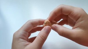 Пудель из пластилина