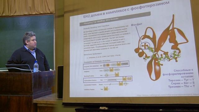 Купраш Д. В. - Иммунология - Лимфатическая система смотреть онлайн