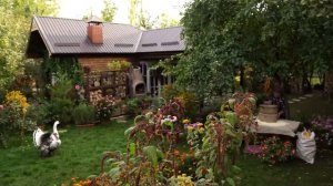 Кукурузный  хлеб Азербайджанская Кухня Деревенская Кухня  Рецепты