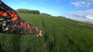 Шампунь для кабана. Проект Привада на кабана. Серия №1