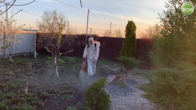 Обработка участка от клещей, комаров, муравьёв, тли смотреть онлайн