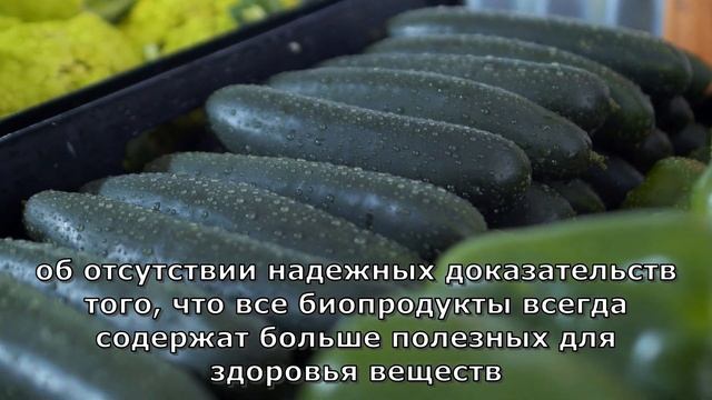 МИФЫ О БИОПРОДУКТАХ в Германии. Германия лайф. Германия 2023