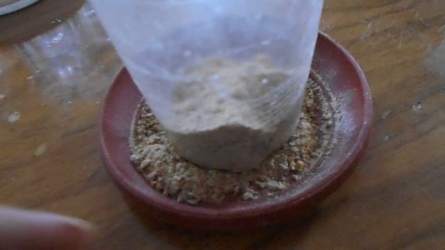 Кормушки и поилки для перепелят своими руками. Все очень просто! смотреть онлайн