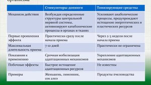 Что такое АДАПТОГЕНЫ и в чём их польза для здоровья