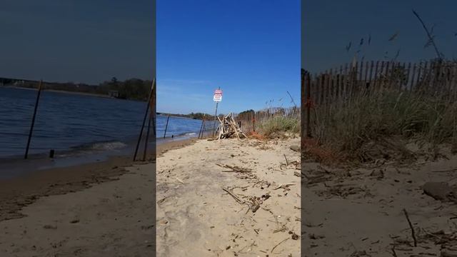 Chesapeake Bay bridge as seen from terrapin beach Maryland