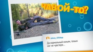 Чавой-то. Дерево