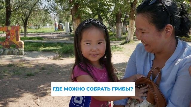 Секретные места улан-удэнских грибников