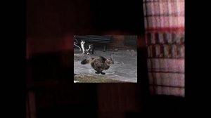 Разговоры о Важном / Бессмысленно / 5 причин Почему Разговор о Важном полное ГОВНО