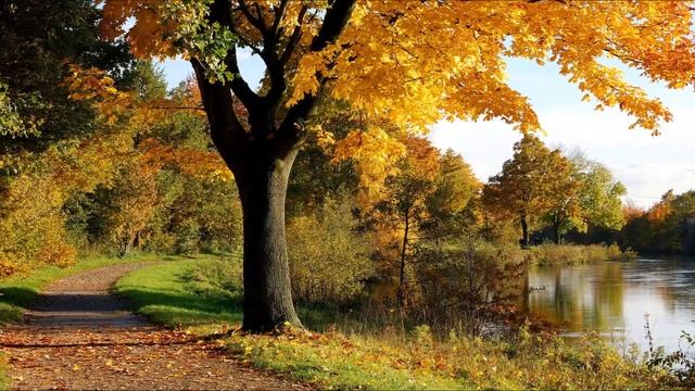 Осень, рыжая подружка. Городская библиотека №1 смотреть онлайн