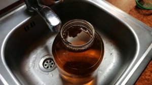 шиповник для голубей