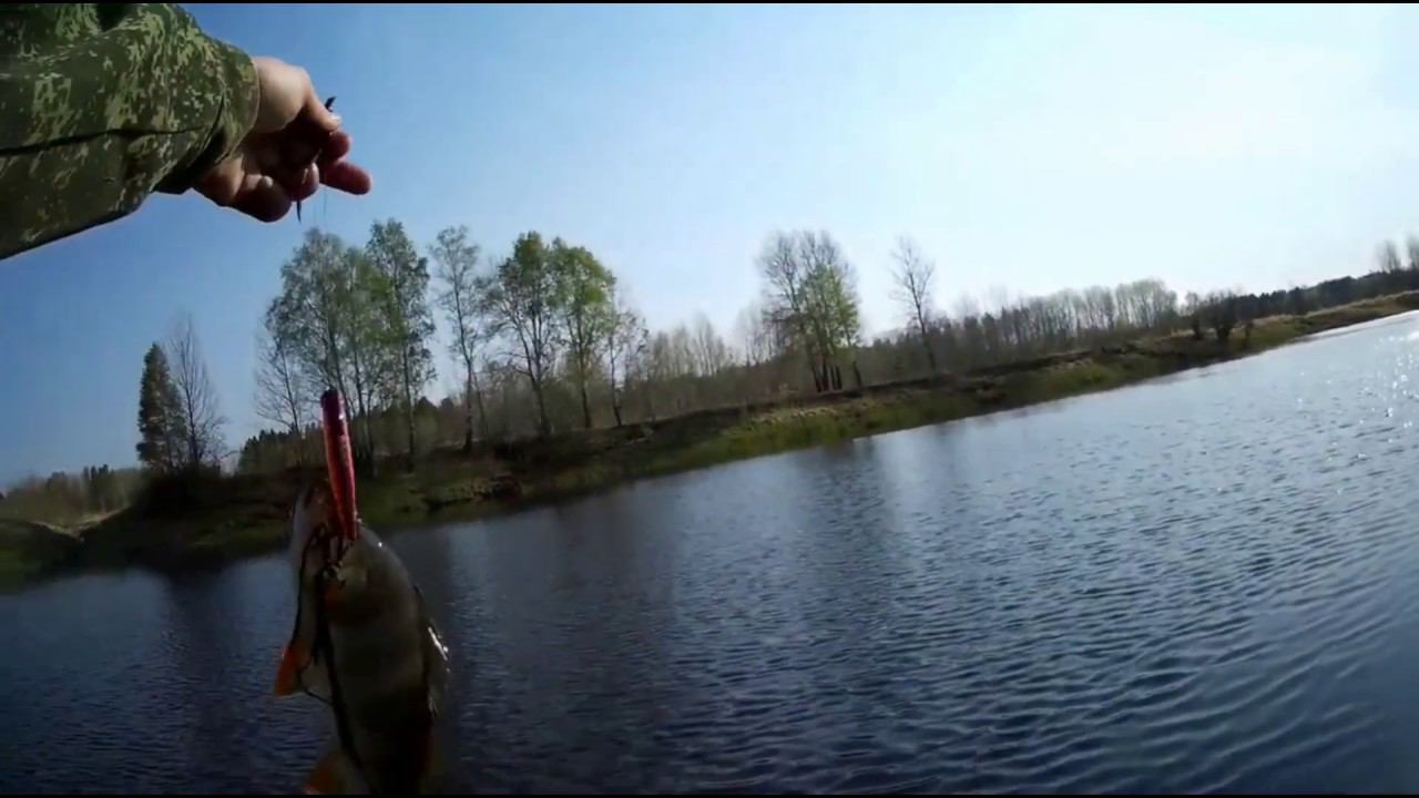 Окунишка! Эх немного воспоминаний с прошлого открытия сезона :-) #NIK_72 смотреть онлайн