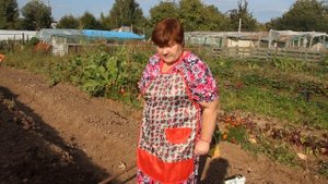 Как Правильно Хранить Чеснок. Как Подготовить Грядку Под Чеснок.