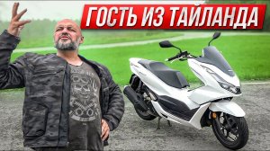 Honda PCX 125: гость из Таиланда. Идеальный скутер для города? #МОТОЗОНА №125