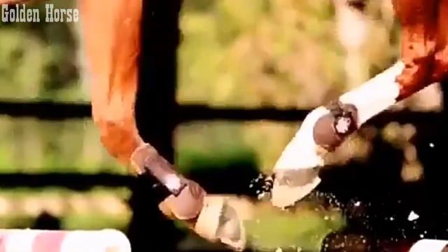 Клип-Это не просто спорт-это моя жизнь смотреть онлайн