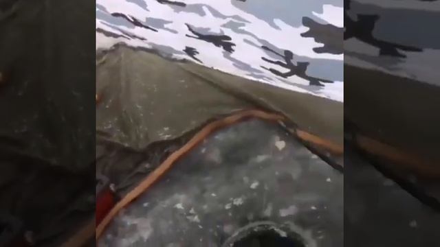 Выдра забирает свою долю у рыбака смотреть онлайн