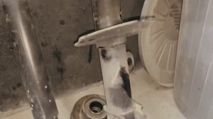 ZRA амортизаторы - Chevrolet Captiva 2 (Restovratsiya qilingan amortizatorlar)