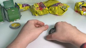 НАЧИВКИ ИЛИ ЧИПИКАО ГОРМИТИ