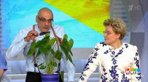 Опасные комнатные растения. Жить здорово! Фрагмент выпуска от 29.08.2016