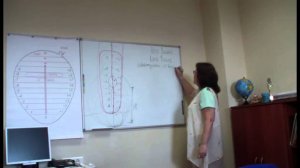 Семинар Токаревой Н.П. 21 июля 2014 Гигиена тонких тел. Основы энергетической безопасности.