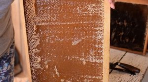 Распечатка сот электрическим ножом