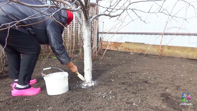 Огородные работы! Запускаем квадрокоптеры DJI Mavic Mini и Bugs 3 mini! смотреть онлайн