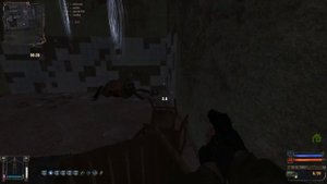 где найти кейс Максима на агропроме. Золотой Шар. S.T.A.L.K.E.R.