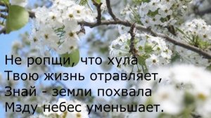 Стихотворение Николая Гурьянова " НЕ РОПЩИ "