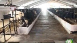 Новые проекты в Тарановском районе