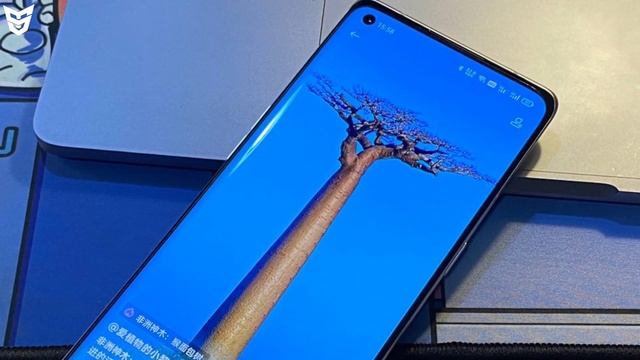 Oppo Reno 5 Pro Plus Launched! Official Specifications | Price & India Launch Date SufiyanTechnolog