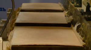 Печь кондитерская электрическая ПК-4 для вафельных листов и основ для конфет