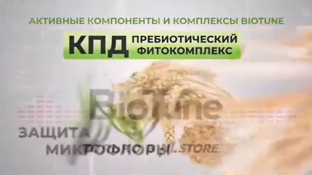 Адаптоген BioTune доступен для предзаказа в России.  Каждый из нас сначала был скоплением клеток