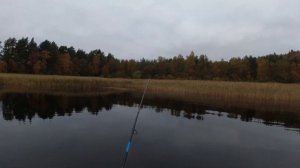 Обзор воблера TsuYoki Draga 130