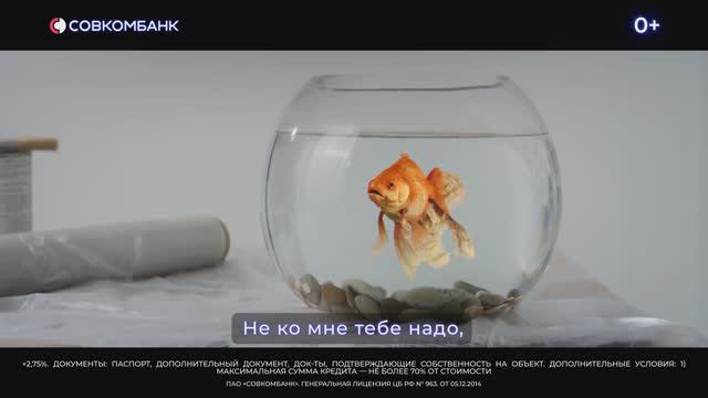 Золотая рыбка
