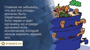 Чем кормить дождевых червей при разведении.  ТРАВАРТ 2707