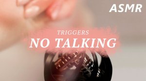 АСМР Триггеры без слов ASMR Triggers No Talking ZOOM h1n