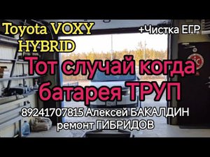 ТОЙОТА ВОКСИ ГИБРИД. тот случай когда батарея ТРУП.