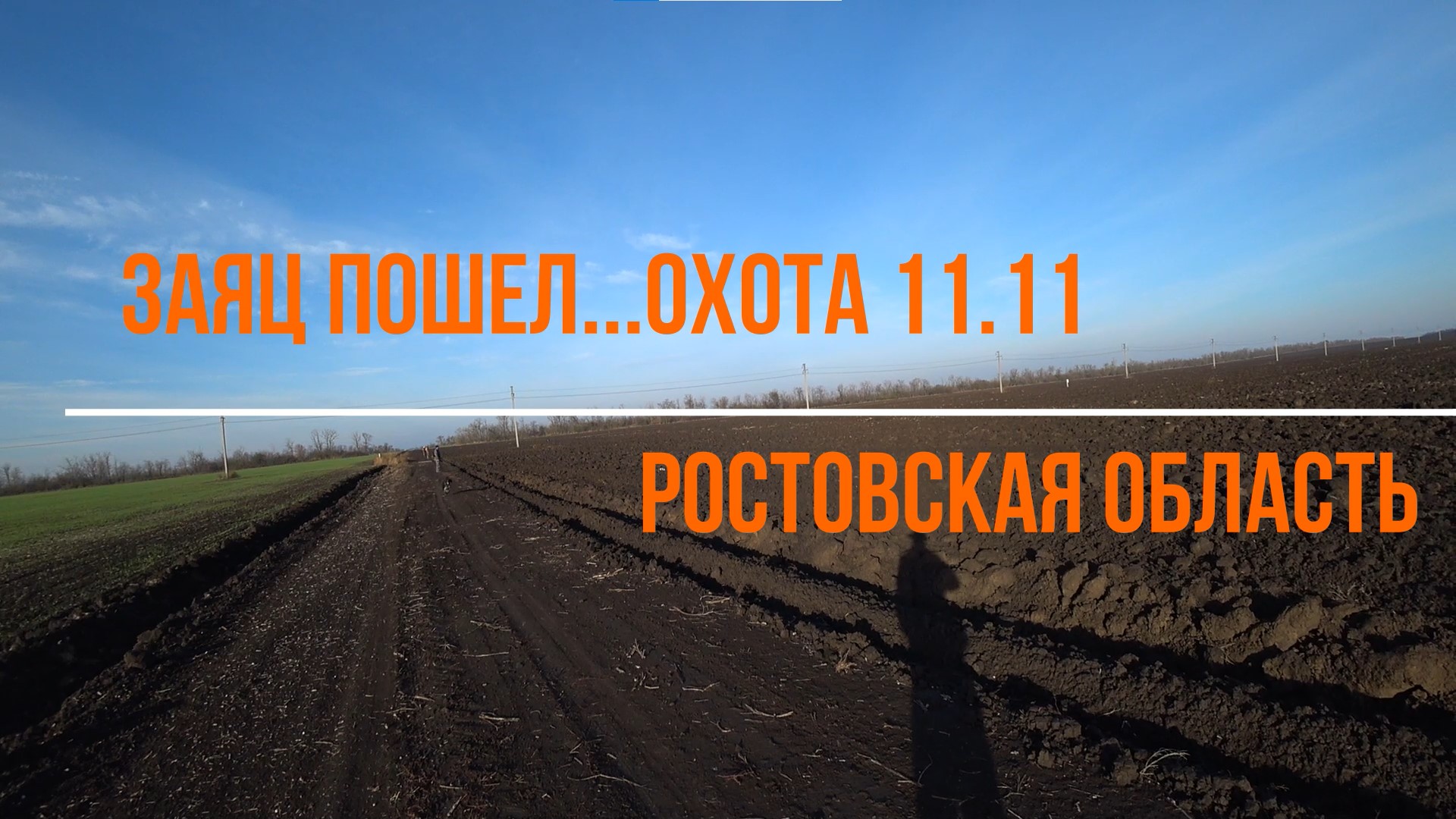 Заяц пошел...Ростовская область
