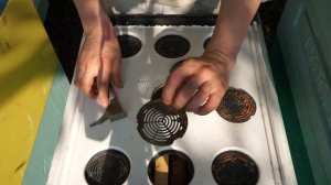 Как легко собрать чистый прополис