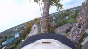 Спил дерева по частям от А до Я арбористом от первого лица