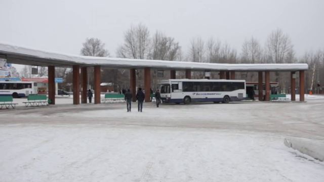 Автобус до Ташкиново будет заезжать на улицу Заки Валиди смотреть онлайн