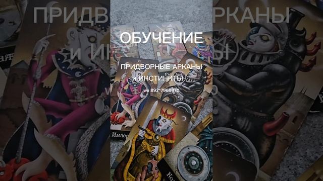 ПРИДВОРНЫЕ АРКАНЫ и ИНСТИНКТЫ. Обучение #таробезумнойлуны