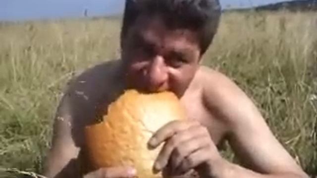 сенокос смотреть онлайн