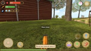 СИМУЛЯТОР КОТА и КОШКИ # 1 начинаем играть