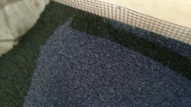 Гранула смотреть онлайн