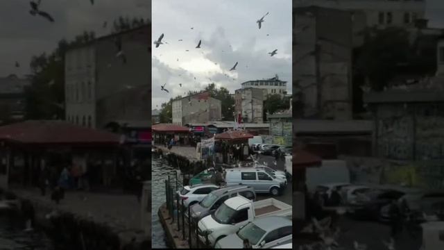 Стамбул. Галатский мост/ Galata bridge/#galataköprüsü