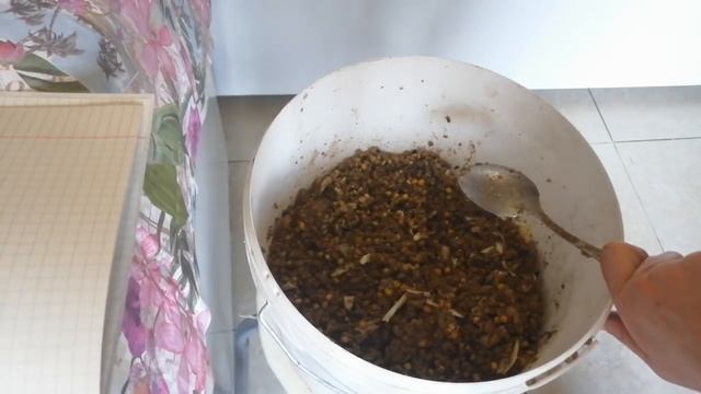 Подготовка уток к яйцекладке: дрожжевание корма, красный перец, препараты от глистов