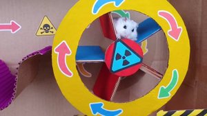 DIY New Halloween Hamster Maze 🎃 Hamster Escapes