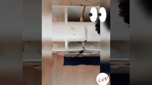 ?ПАРООЧИСТИТЕЛЬ И РАДИАТОРЫ отопления?