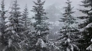 chris rea - driving home for christmas | sped up |