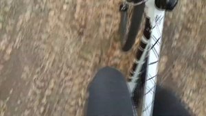 Обзор велосипедов COBUS (Phantom Gracia) // Мой отзыв о велосипеде КОБУС